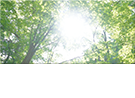 環境問題への取り組み