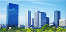 取引実績